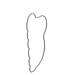 JUNTA TAPA PRIMARIA INDIAN