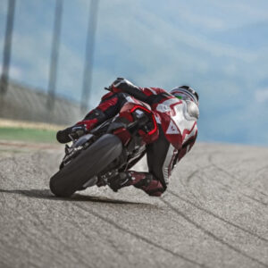 DTC EVO2 SOFTWARE NEUMÁTICOS SLICK/RAIN