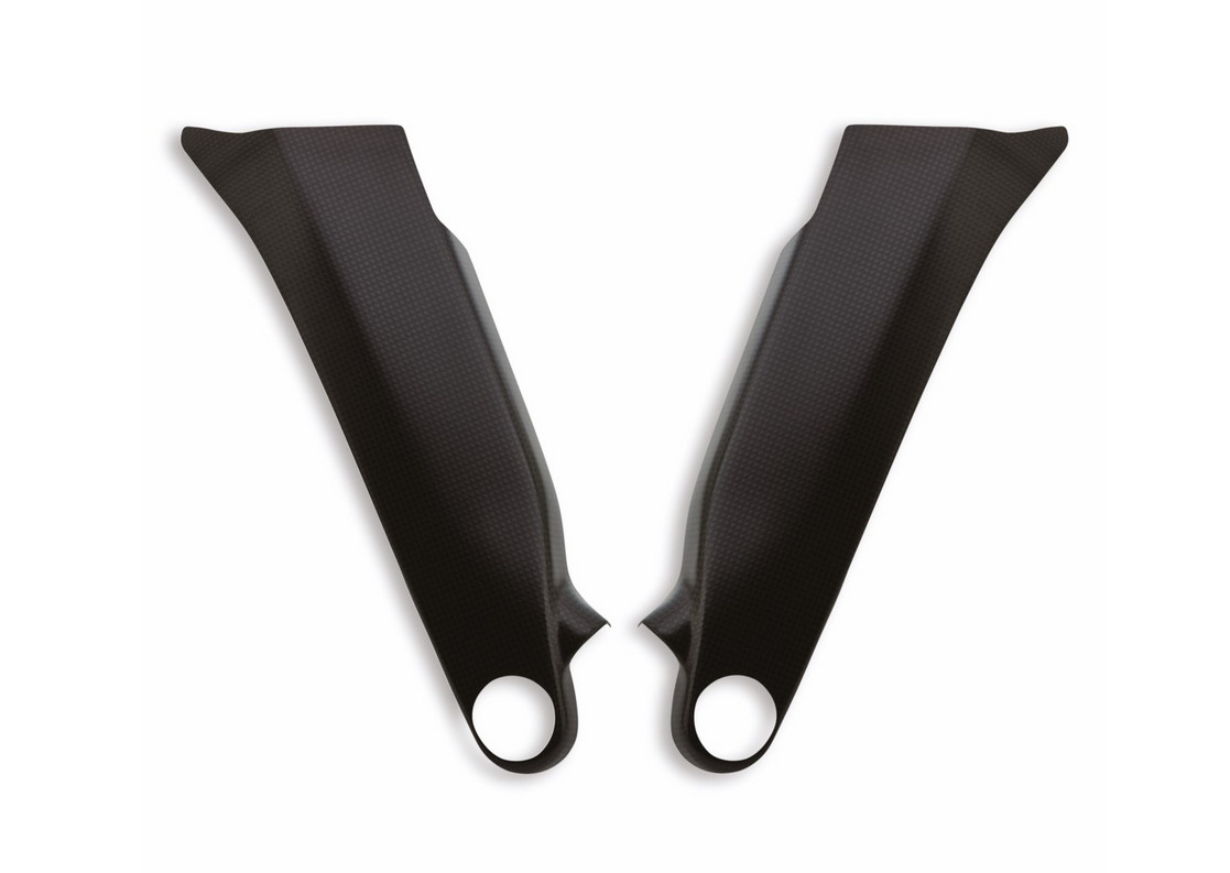 PROTECCIÓN DE BASTIDOR CARBONO DUCATI - Imagen 3