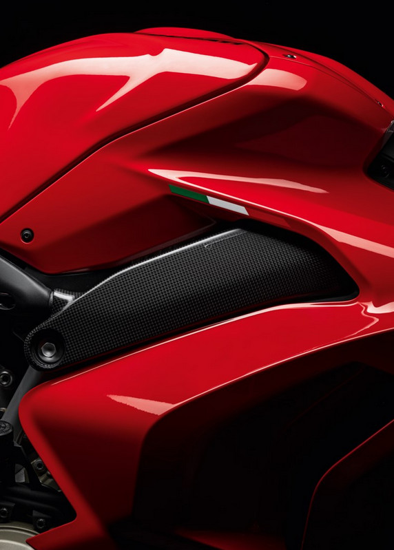 PROTECCIÓN DE BASTIDOR CARBONO DUCATI - Imagen 2