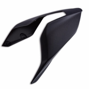 CUERPO MONOPLAZA CARBONO DUCATI
