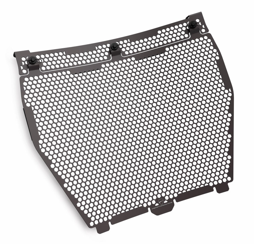 PROTECTOR RADIADOR AGUA DUCATI STREETFIGHTER V4